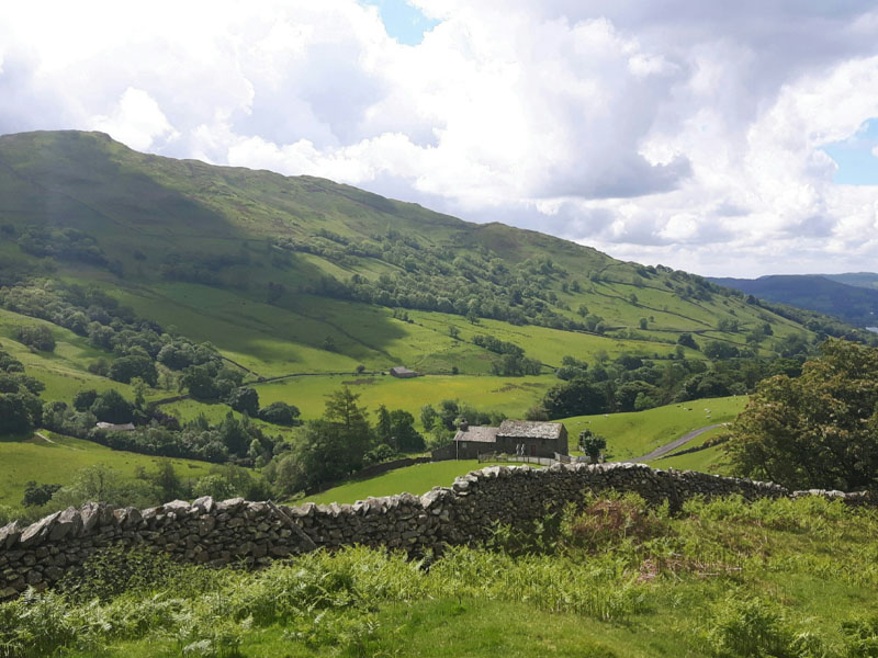 News and Local information