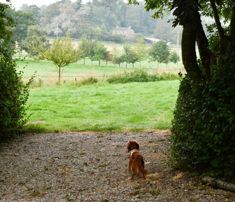 Escape the Crowds and Discover the Hidden Beauty of the Eden Valley