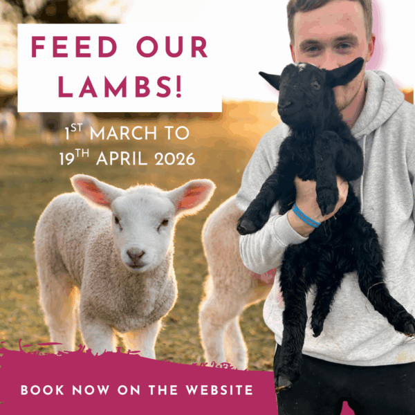 Easter Activités Cumbria